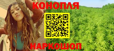 крисы Лесосибирск