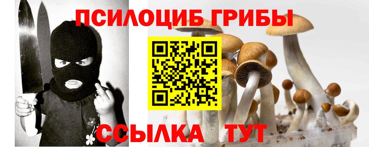 Кольчугино  Галлюциногенные грибы Psilocybine cubensis  Вход с VPN  Псилоцибиновые грибы Magic Shrooms 